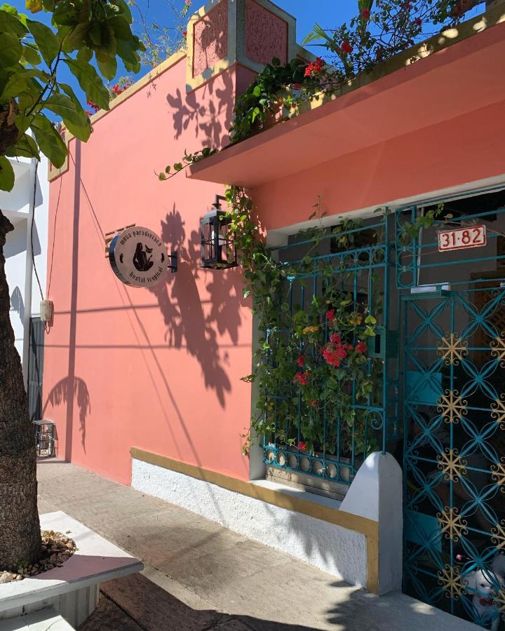 Hostel Musa Paradisiaca Santa Marta  Exterior foto
